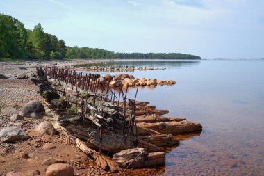 The remains of a Palawan ship on the beach in Hanko, Tulliniemi, Finland. clipart