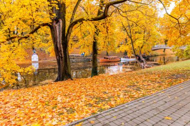 Riga 'nın merkez parkında sonbahar - Letonya' nın başkenti ve en büyük şehri, Baltık bölgesinin büyük bir ticari, kültürel, tarihi ve turistik merkezi. 