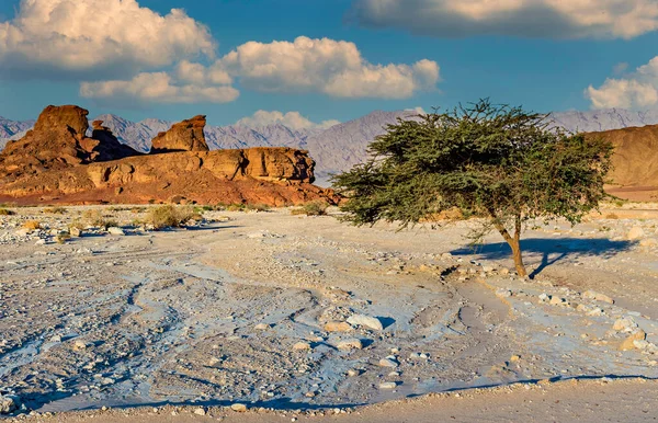 Геологічні Утворення Природній Пустельній Долині Тімни Парку Який Розташований Північ — стокове фото