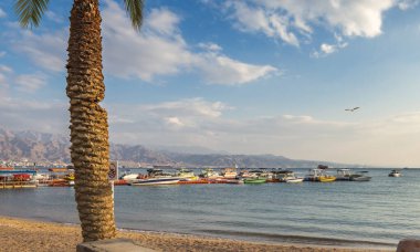 Eilat 'ın merkez halk plajı - İsrail' in bir numaralı tatil ve dinlenme şehri.
