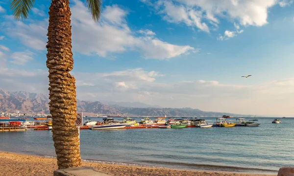 Playa Pública Central Eilat Centro Turístico Número Uno Ciudad Recreo —  Fotos de Stock