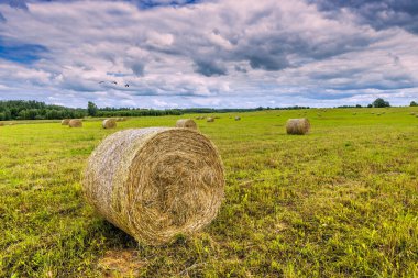 Tarımsal alan ve ön planda saman yığınıyla kırsal alan