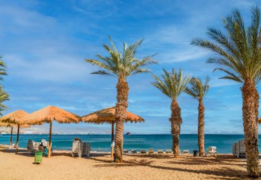 Sandy and sunny beach of the Red Sea with sunshades, chairs and deck-chairs for happy and bliss vacation, Red Sea, Middle East