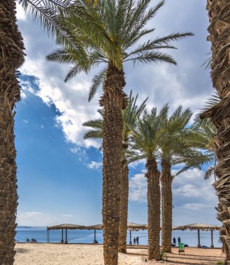 Eilat 'taki park alanı ve kumlu sahil - İsrail ve Ortadoğu' daki ünlü turizm ve dinlenme merkezi