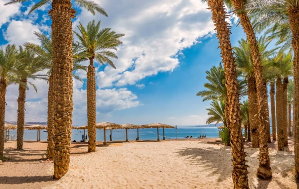 Morning Sandy Beach Red Sea Eilat Famous Tourist Resort Recreational — Stockfoto