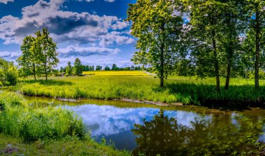 Ufukta sarı çiçek açan kolza tohumu tarlasıyla kırsal panoramik manzara