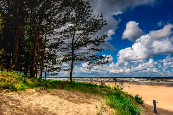 Песчаный Пляж Дюны Юрмале Известный Туристический Курорт Место Отдыха Латвии — стоковое фото