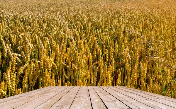 Sakalsız Buğday Otlayanlar Buğday Saman Üreticileri Arasında Popülerdir Planda Tahta — Stok fotoğraf