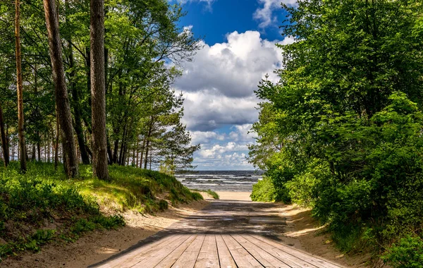 Дорога Ведущая Песчаному Пляжу Балтийского Моря Юрмале Известному Туристическому Курорту — стоковое фото