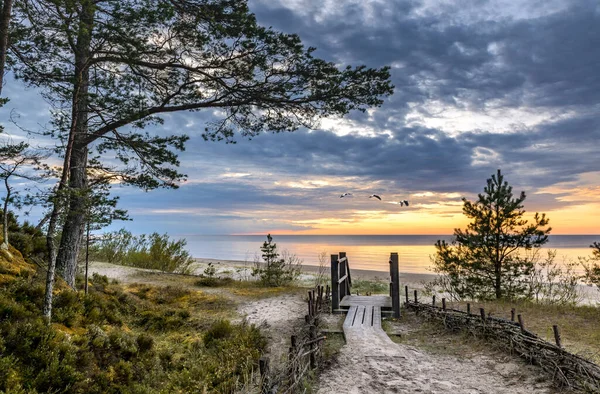 Baltık Denizi 'ndeki ünlü Letonya turizm beldesi Jurmala' da deniz kıyısına uzanan tahta patikalı kıyı manzarası. Riga körfezinin 26 km 'den fazla sahil şeridini kaplayan güzel kumsallar.
