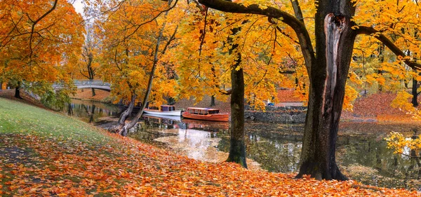 Cores Douradas Outono Parque Domínio Público Letônia Riga Imagens Royalty-Free