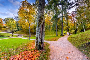 Güneşli bir sonbahar gününde yürüyüş yolları olan eski bir bahçe parkı. 