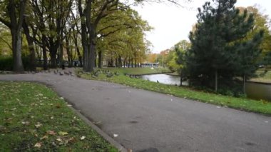 Eski kamu parkında sonbaharın renkli desenleri