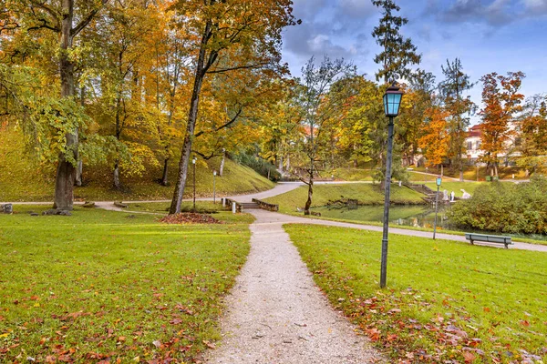 Şehir parkında yürüyüş ve sonbahar doğa geçmişi