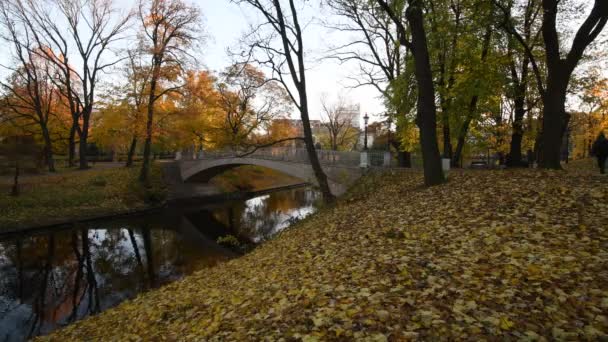 Kleurrijke Patronen Van Late Herfst Het Oude Openbare Park — Stockvideo