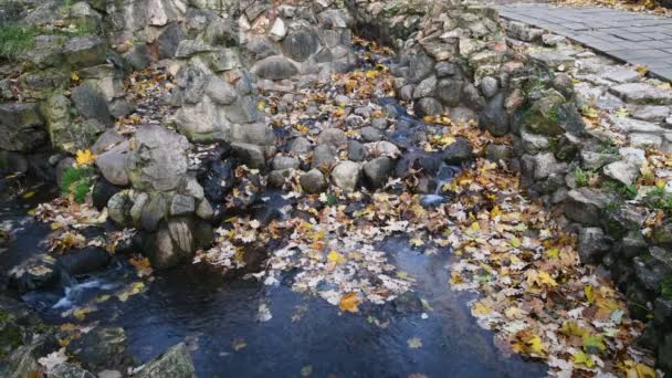 Pequena Cascata Decorativa Antigo Parque Público Temporada Outono Dourado — Vídeo de Stock