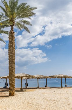 Tropikal kumlu plajda sabah, dinlenme ve dinlendirici iskemle ve güneş gözlüğü ile Kızıldeniz, Orta Doğu 'nun kumlu sahillerinde.