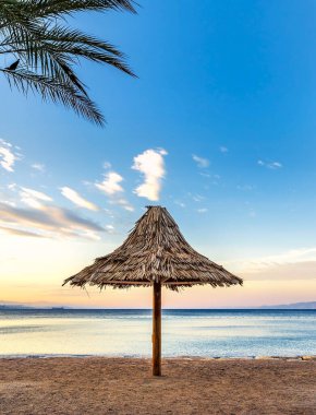 Kızıl Deniz 'in kumlu sahilinde sabah