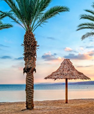 Sabahın erken saatlerinde Kızıl Deniz 'in kumlu sahillerinde