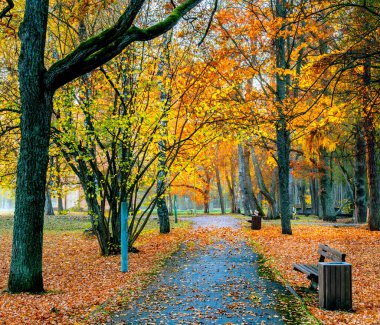 Yaya geçidi ve altın sonbahar doğası eski şehir parkında.