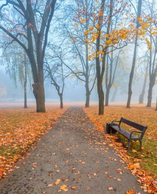 Kaya ve minarenin Altın Kubbesi. Bu İslami mimari başyapıt Kudüs 'teki Tapınak Dağı' nda yer almaktadır. Dramatik ve canlı bulutlar ihtişam ve gizemcilik atmosferi yaratır. Sadece geleneksel dijital geliştirme araçları kullanıldı.