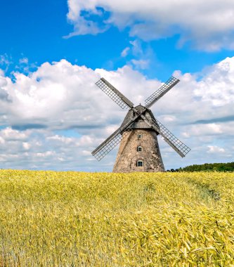 Buğday tarlası ve eski yel değirmeniyle tarımsal ve kırsal arazinin fotoğrafları. Yapay zeka araçları kullanılmadı