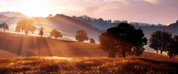 Живописный Пейзаж Деревьями Холмах Против Облаков Тоскане Италия Восходе Солнца — стоковое фото