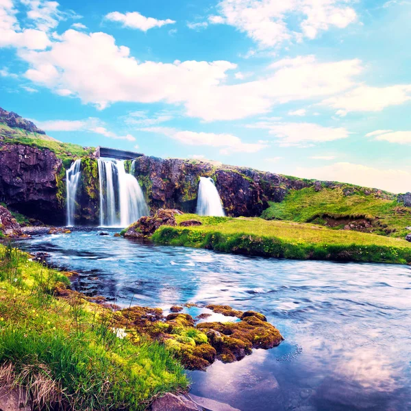 Piękne Naturalne Magiczne Dekoracje Wodospadem Kirkjufell Żółte Kwiaty Świcie Islandii — Zdjęcie stockowe