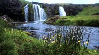 Kirkjufell şelalesi ve İzlanda 'da sarı çiçekli güzel doğal sihirli manzara. Egzotik ülkeler. Harika yerler. (Meditasyon, anti-stres - konsept).