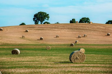 Bir büyüleyici inanılmaz güzel uyumlu yatay, bükülmüş haystacks alanında bir büyüdür. Tuscany, İtalya (kırpma, refah - kavram)