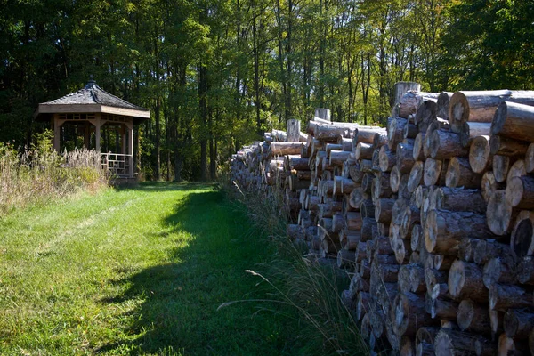 Chopped Firewood Stack Ready Burning — Stock Photo, Image