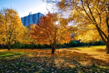 Yaşam tarzı - Apartman Sonbahar yaprağı rengiyle yaşıyor