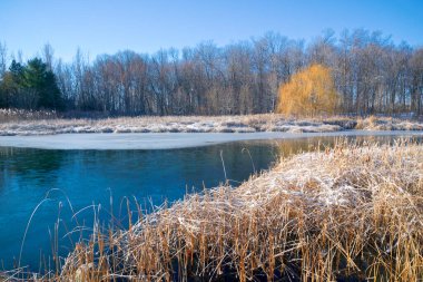 Kışın ilk kar bir parkın gölüne yağar..