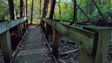 Crossing a bridge on the hiking trail with falling maple leaves