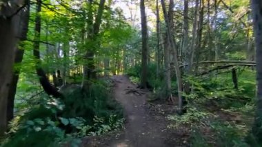 Walking on a hiking trail in the park