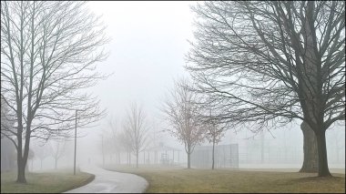 Footpath in a public park on a foggy morning
