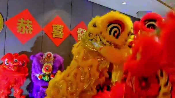 Lion Dance Restaurant Celebrate Chinese New Year — Stock video