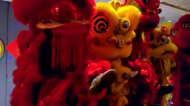 Lion Dance Celebrate Chinese New Year — Stockvideo