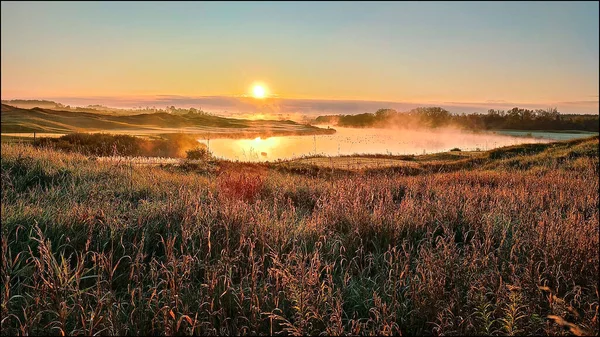 Sunrise in the golf club with mist and migration birds in autumn