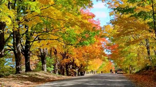 Landscape Road Trip Autumn Leaf Colour Beautiful Country Road — Stock Video