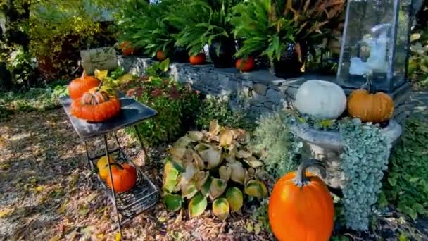Decoración Calabaza Para Las Vacaciones Halloween Patio Delantero — Vídeo de stock