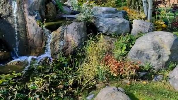 Tranquillity Scene Vineyard Water Pond Adirondack Chair Canada — Stock Video