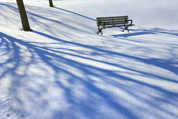 Light and shadow. Park bench covered with fresh snow in the park
