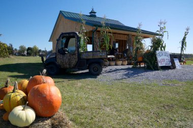 Toronto, Ontario / Canada, 10/05/2022: Apple and pumpkin for sale at road-side farmer's market