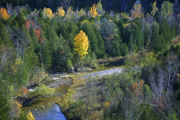 Aerial View River Valley Autumn Leaf Colour — Stock Photo, Image