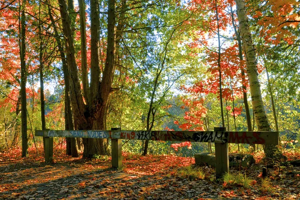 Beautiful view of the natural parkland with a fence in autumn