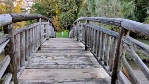 Walking Wooden Bridge Autumn Leaf Colour — Stockvideo