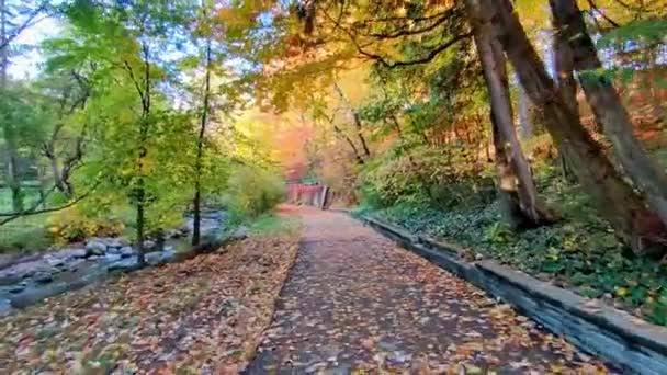 Прогулка Тропинке Вдоль Реки Осенью — стоковое видео