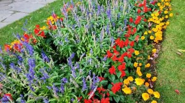 Halka açık bir parkta sonbahar yaprağı rengi çiçek tarhı ve çeşmesiyle