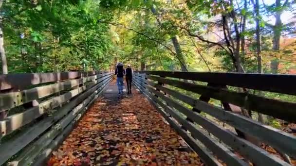 Para Przemierzająca Most Jesienią — Wideo stockowe